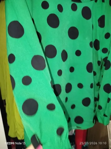 Blusa