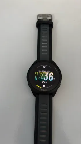 Garmin 165