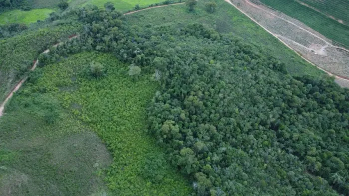 Vende-se terreno de 70.000m2 documentado com nascente