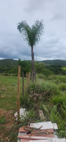 Terreno com rio nos subida do sabona, sobradinho dos melos