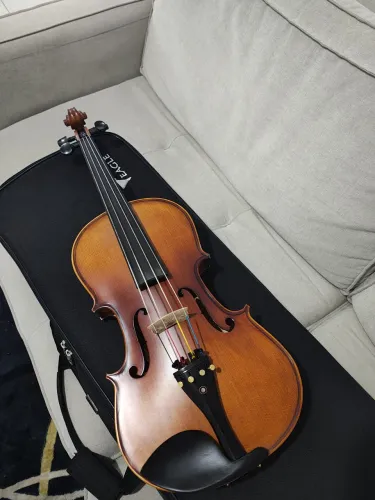 Viola de arco Eagle VA180 ajustada 
