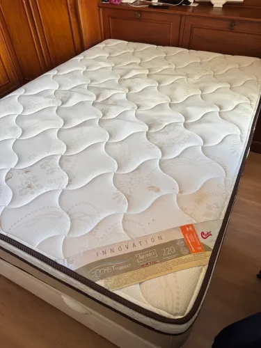 Cama de casal Castor Pocket + Box baú