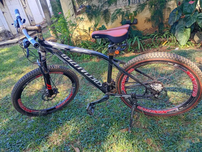 Bicicleta
