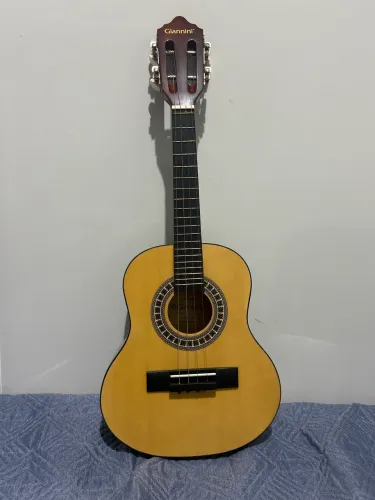 Cavaquinho Giannini com capa protetora