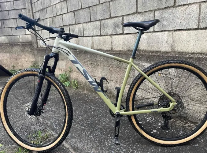 Tsw Hunch plus 