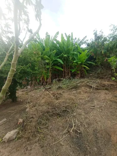 Lote à venda, Mantiqueira - Belo Horizonte/MG
