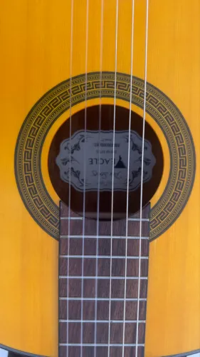 Violão Eagle