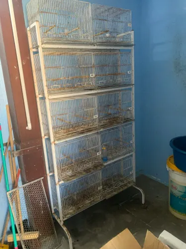 Gaiolas e estante voadeira mais acessórios