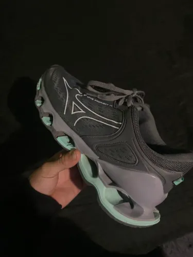 Mizuno prophecy 13