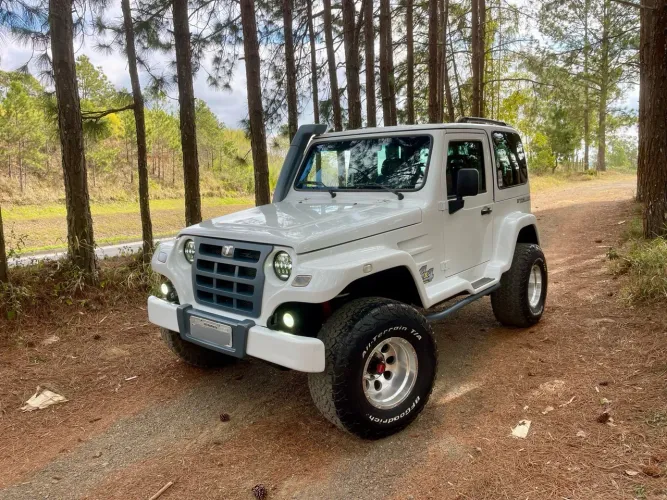 Troller T-4 4X4 3.0 TB Int. Cap. Rígida Diesel 2011