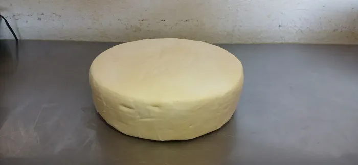 ? QUEIJO DE COROMANDEL ?