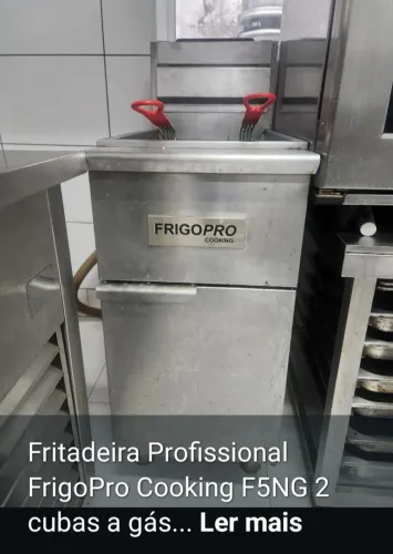 Fritadeira industrial a gás 