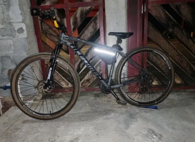 Bicicleta Alfameq , aro 29 , freio a disco