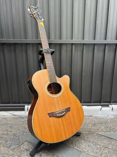 Violão Tagima Dallas 