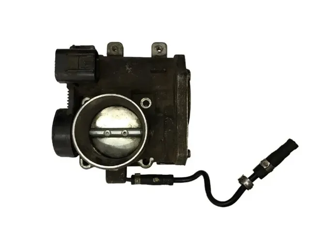 Corpo borboleta tbi Corsa