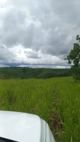 Fazenda 850 hect a 60km de cuiabá MT. R$:8.300.000