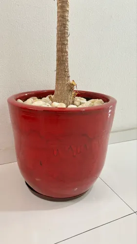 Vaso vietnamita vermelho