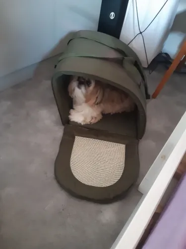 Bolsa para transportar Pet confortável