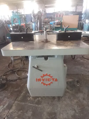 Tupia invicta 