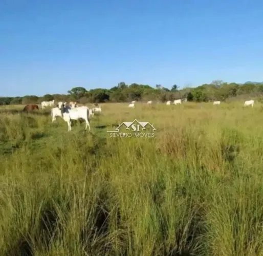 Terreno- Seropédica , Piranema