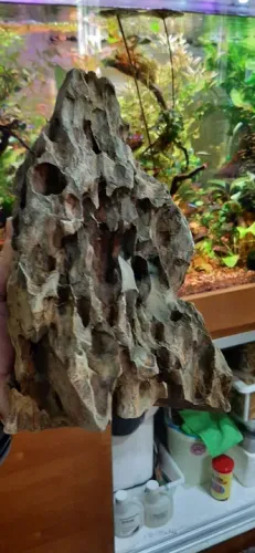Rocha Dragon Stone