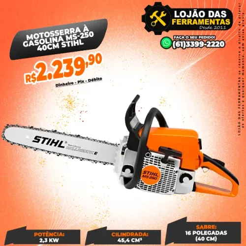Motosserra à Gasolina MS-250 40CM Stihl Original
