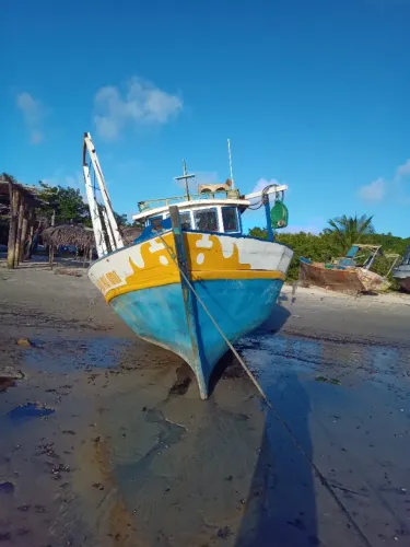 Barco de pesca motor mwm229 4 cilindros