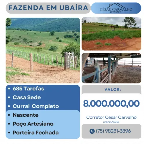 FAZENDA EM UBAÍRA - 685 TAREFAS