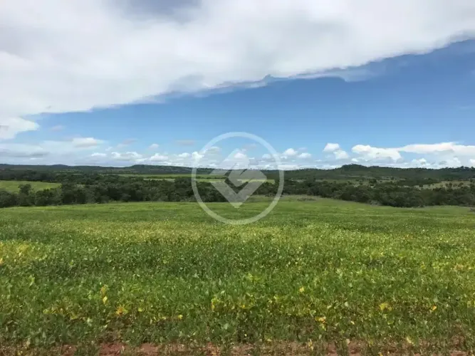 Fazenda à Venda | Água Boa - MT 500 hectares