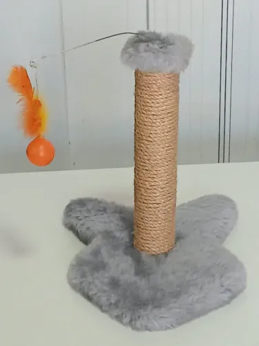 araodo de gato