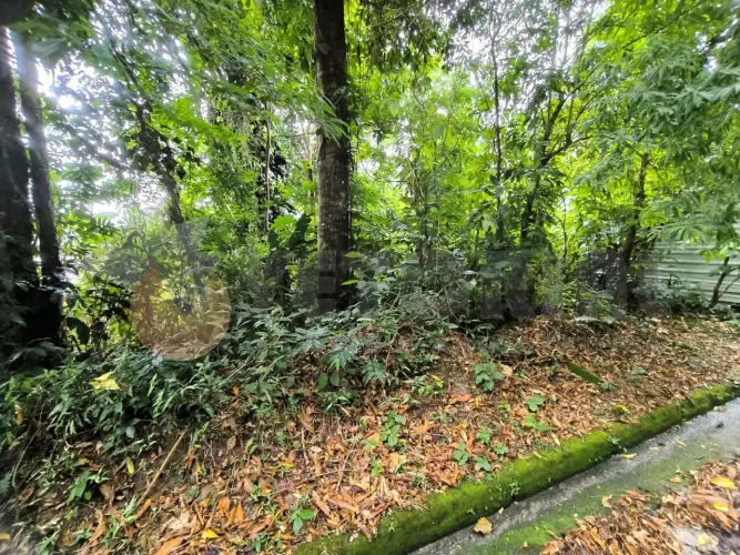 Terreno à venda, 360 m² por R$ 170.000 - Cidade Jardim - Caraguatatuba/SP