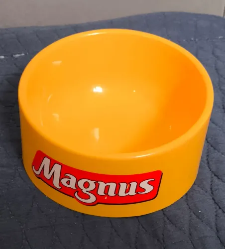 Comedouro Amarelo Magnus Para Cães E Gatos na cor amarela