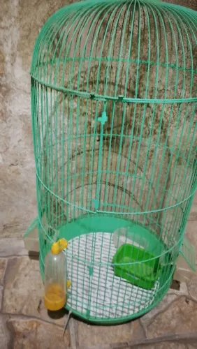 Gaiola de calopsita