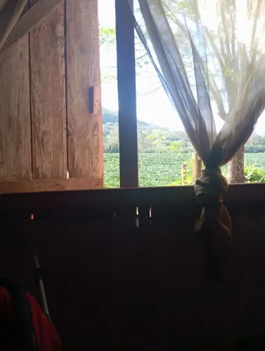 Cuidadora de idoso em minha casa
