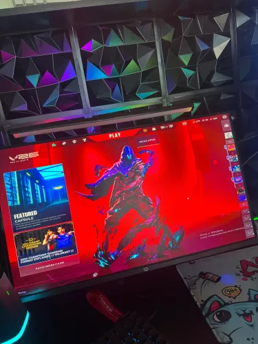 Monitor 260hz FLY 1ms 24.5"