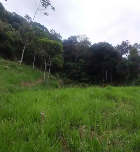 Área para sítio entre 620 a 2 mil metros quadrados em Santo Amaro da Imperatriz- SC