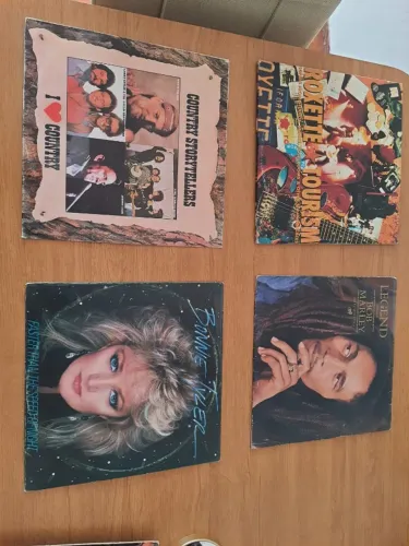 Discos de Vinil R$100 cada