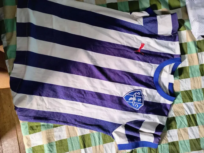 Paysandu Puma