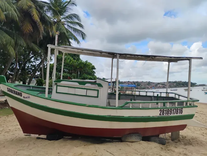 Barco de fibra