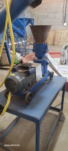 Peletizadora Com Chave Magnética 5,5 CV - 125 Kg/h - Usada