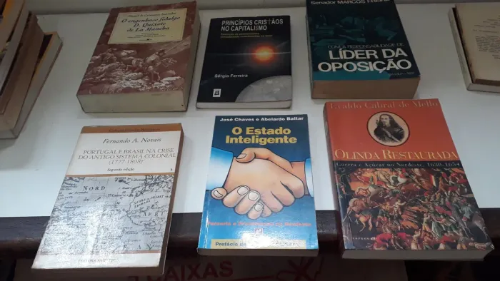 Lote de livros