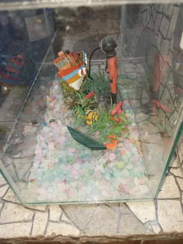 Aquário, mais acessórios.