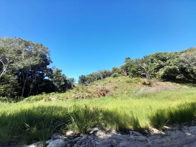 Lotes Rurais à Venda em Itariri - Terrenos 10x40 (400m²) (aceitamos trocas e negociações)