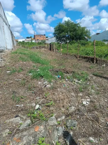 Terreno no Guajará