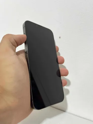 iPhone 13 pro Max_256 memoria