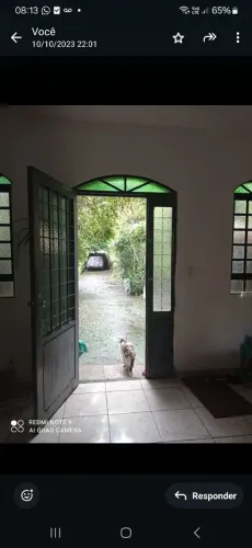 Rua Monteiro Lobato