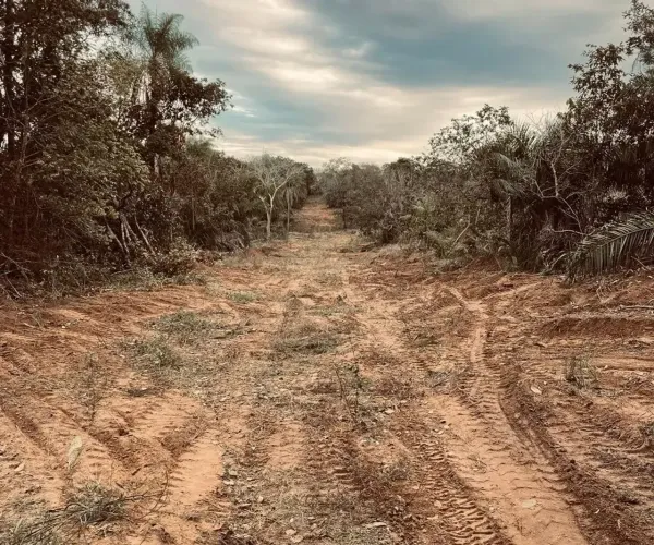 CÓD438 Fazenda 412 ha com 5 km de Rio Salobra | Potencial Turístico | Miranda/MS Proprie