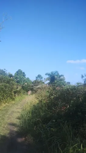 Terreno Itanhaem km 333 padre Manoel da Nóbrega