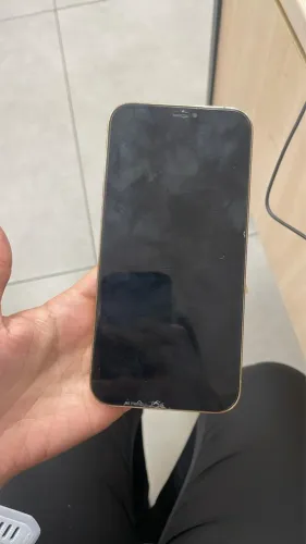 IPHONE 12 pro max
