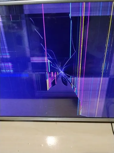 Tv Semp 